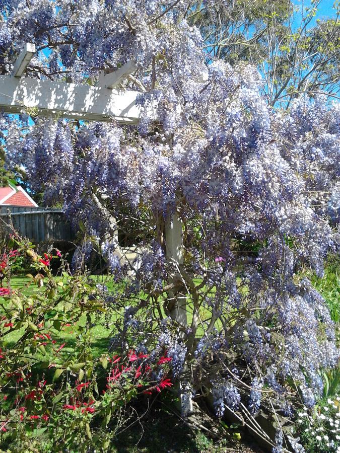 The Old Post Office Guesthouse B&B Paparoa Esterno foto